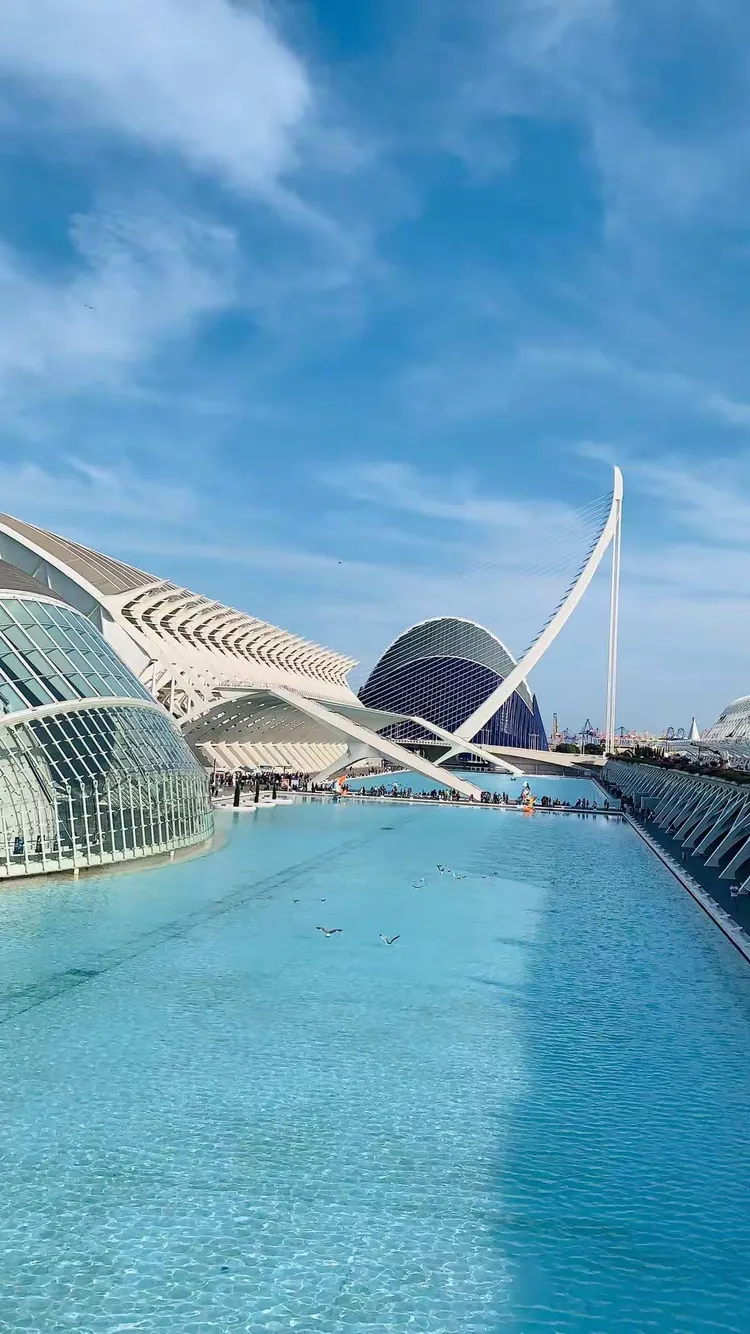 开云体育下载-清晨葡萄牙体育状态回暖瓦伦西亚造点机会，浙江稠州赛前战术微调看傻球迷