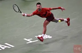 开云体育下载-德约科维奇对阵穆塞蒂